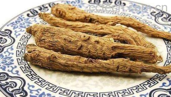 雪参膏的作用及禁忌-1