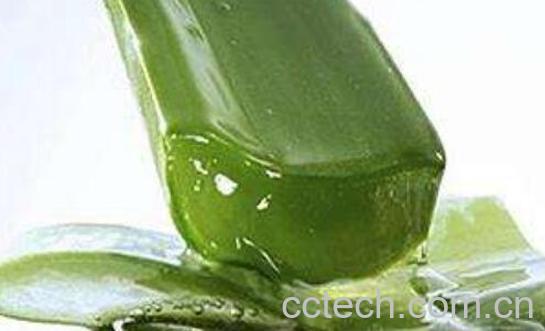 芦荟果汁的功效与作用 芦荟果汁的营养价值-1