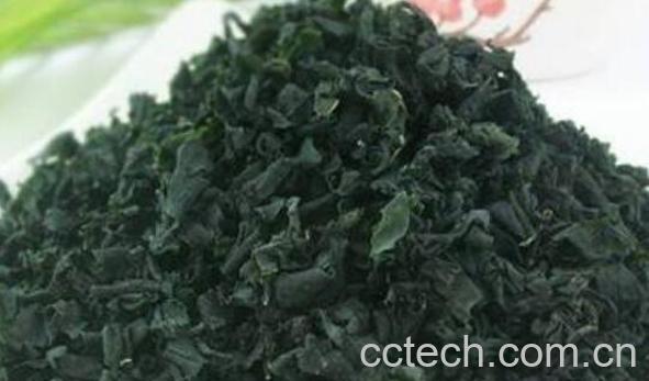 螺旋藻的功效与作用 螺旋藻的常见吃法-1