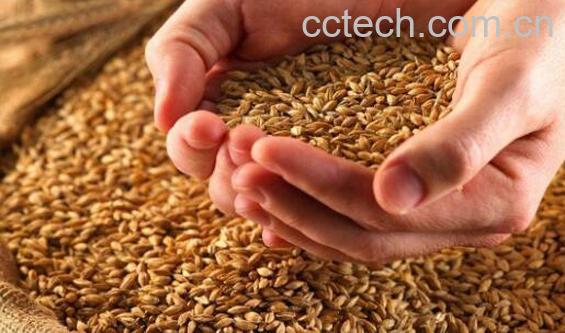麦芽硒的功效与作用-0