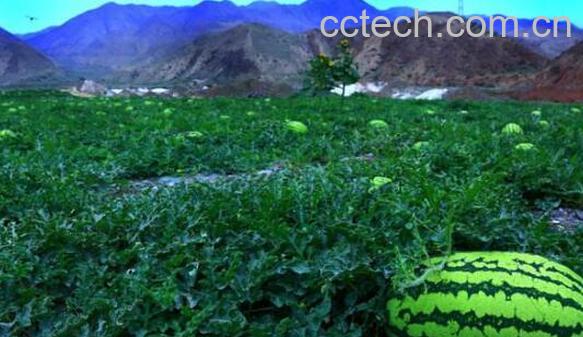 硒的功效与作用 补硒的好处有哪些-0