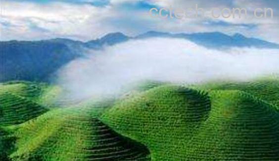 硒的功效与作用 补硒的好处有哪些-1