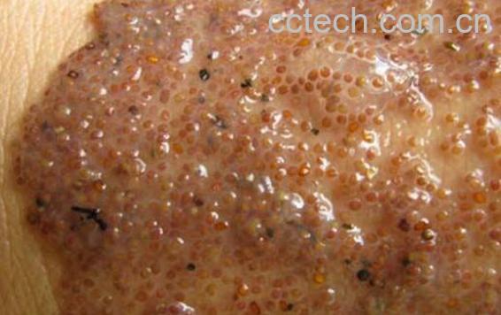 海藻面膜如何正确使用 海藻面膜怎样使用方法-0