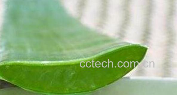 芦荟精华素的功效与作用-0