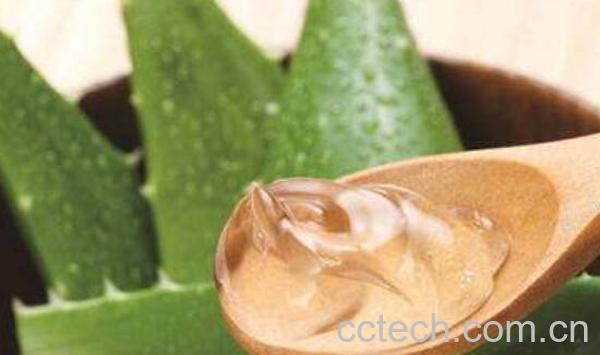 芦荟胶的功效与作用 芦荟胶的用法技巧-0
