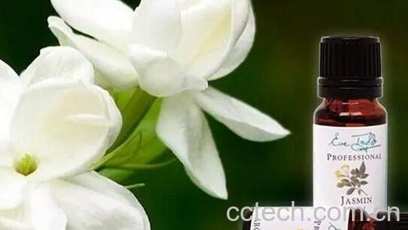 茉莉精油如何提取 茉莉精油的功效-0