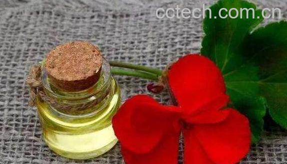 如何使用天竺葵精油 天竺葵精油使用方法-0