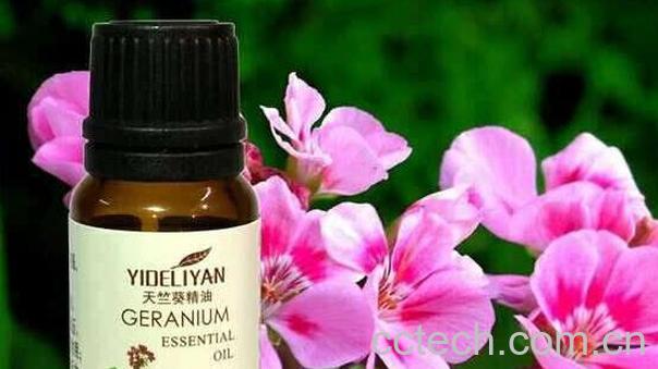 如何使用天竺葵精油 天竺葵精油使用方法-1