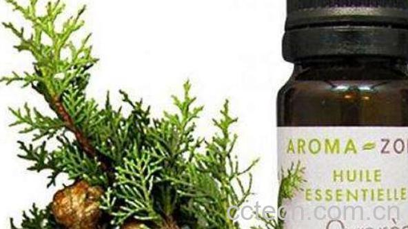 丝柏精油怎么用 丝柏精油的使用方法-0