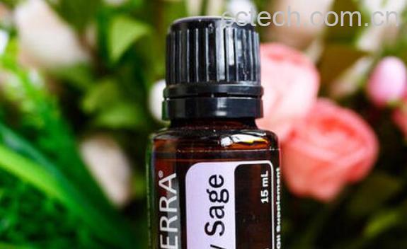 鼠尾草精油的功效与作用 鼠尾草精油怎么使用-1