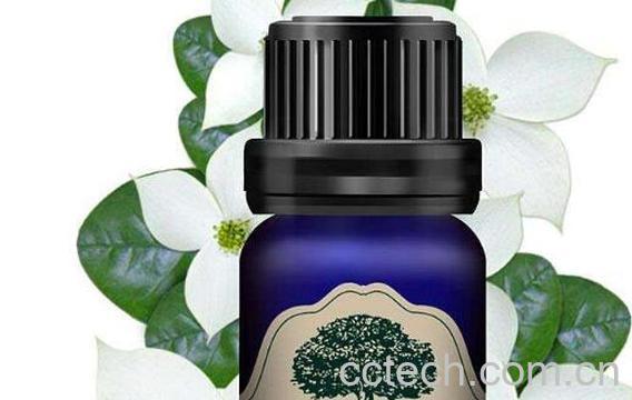 茉莉精油的丰胸作用 茉莉精油怎么用-0