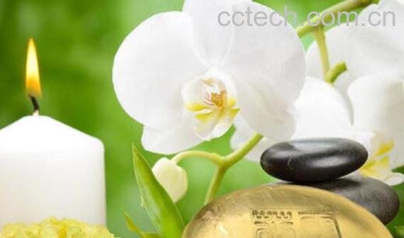 茉莉精油的丰胸作用 茉莉精油怎么用-1