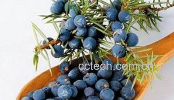 杜松子精油怎么用 杜松子精油的使用方法-1