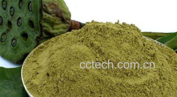 荷叶粉怎么喝才减肥 荷叶粉的副作用-1