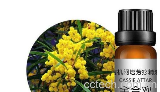 金合欢精油的功效与作用-1