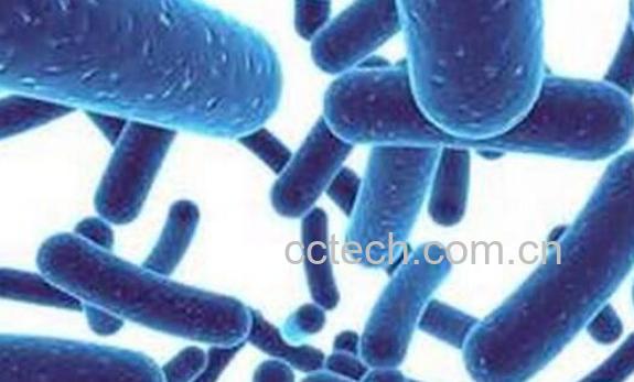 畅益通的功效与作用-1