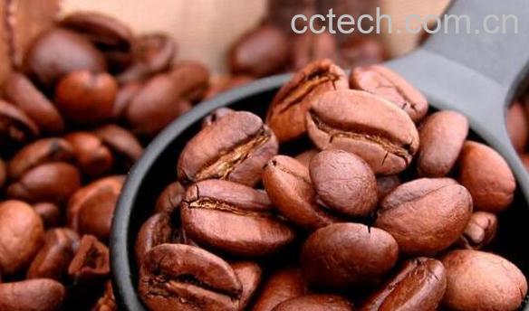 可可豆的功效与作用-0