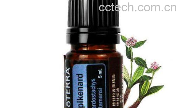 穗甘松精油的功效与作用 穗甘松精油的用途-0