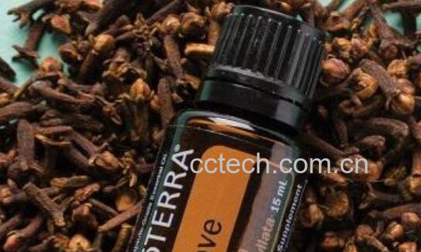 丁香精油的功效与作用-0