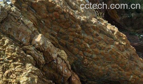 龟背石的功效与作用-0