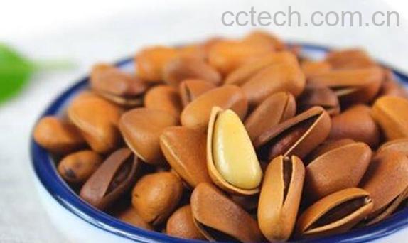 松子壳的功效和作用 松子壳的副作用-1