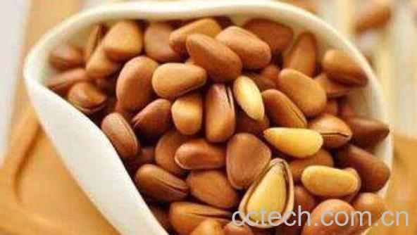 松子壳枕头的功效与作用-1