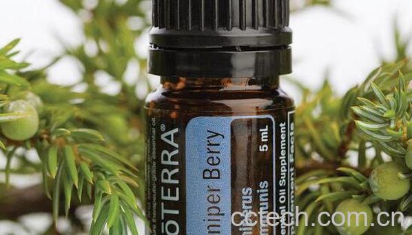 杜松浆果精油的功效与作用 杜松浆果精油的副作用-1