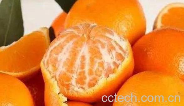 含维生素c的食物 哪些食物含维生素c丰富-1