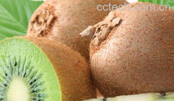 含维生素c的食物 哪些食物含维生素c丰富-0