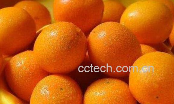 金橘精油的功效与作用-1