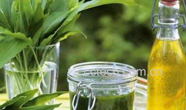 橄榄油如何护肤 橄榄油护肤的正确方法-1