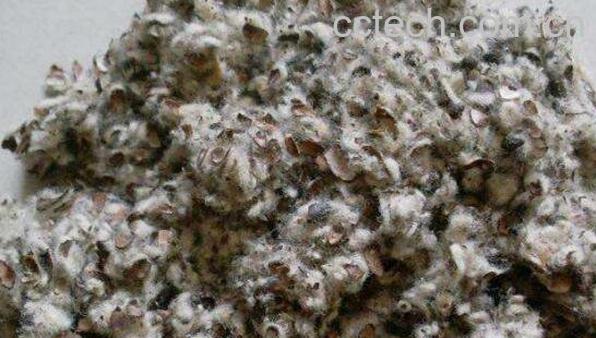 棉籽壳是什么 棉籽壳用途有哪些-1