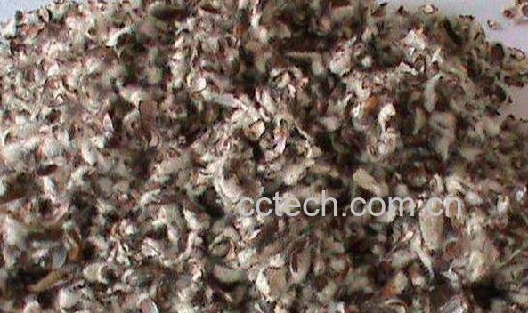 棉籽壳的功效与作用 棉籽壳的副作用-1