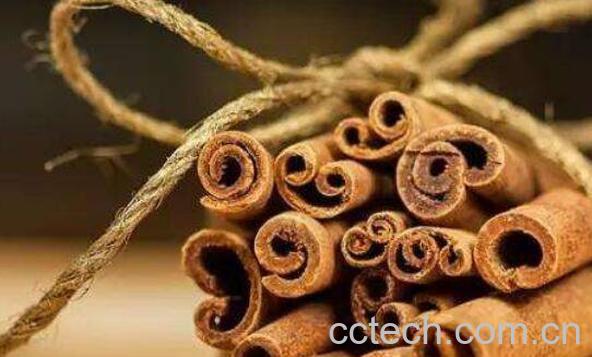 肉桂精油的功效与作用-1