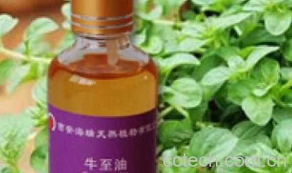 牛至精油的功效与用法-0