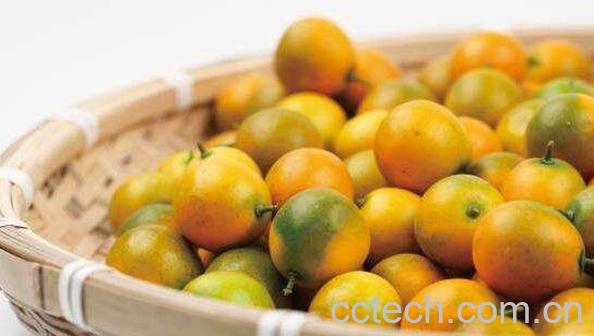 金橘精油的功效与作用-1