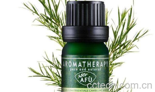 侧柏精油的功效与作用-0