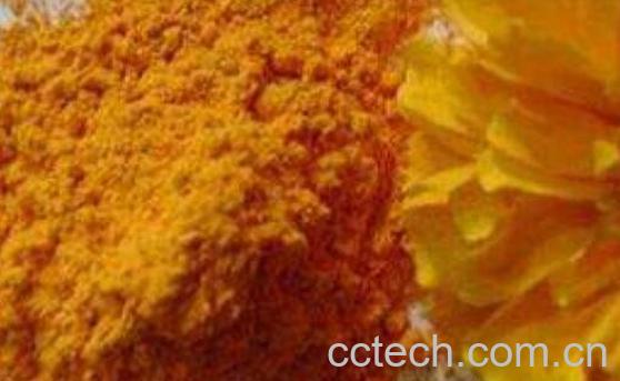 叶黄素的功效与作用 叶黄素的副作用-0