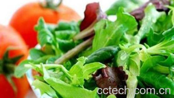 含叶酸的食物有哪些 含叶酸高的食物和水果排名-0