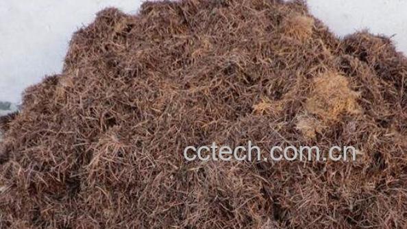 什么是松针土 松针土适合种什么花-0