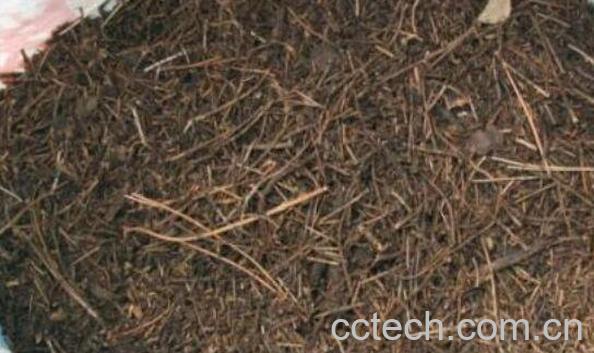 什么是松针土 松针土适合种什么花-1