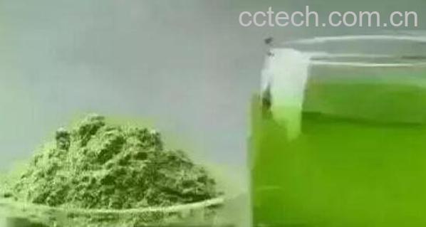 苜蓿酵素什么人不能喝 喝苜蓿酵素的危害-1