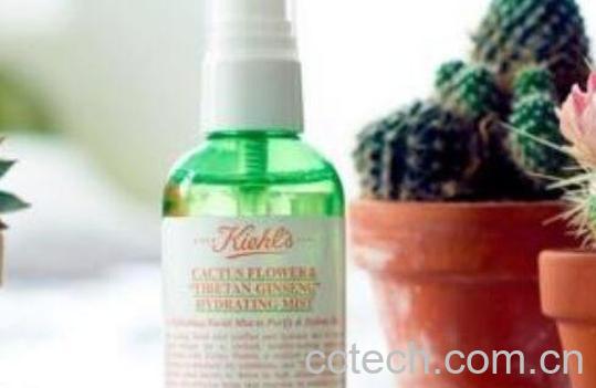 仙人掌精油的功效与作用-0