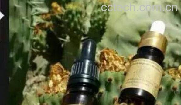 仙人掌精油的功效与作用-1