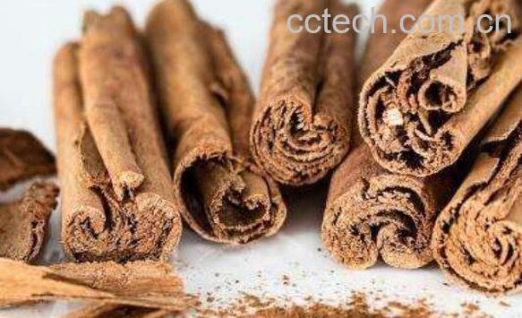 桂皮精油的功效与作用-0