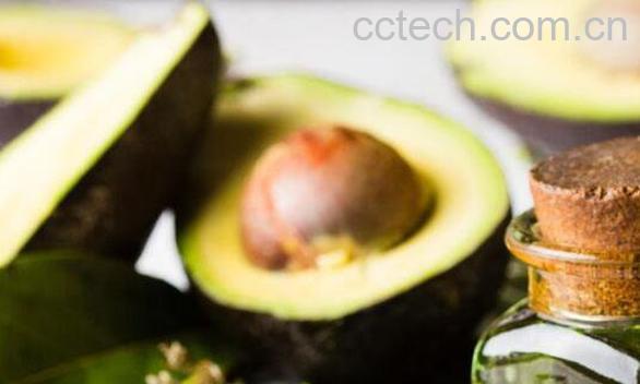 精油鳄梨的功效与作用-1