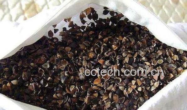 荞麦枕头的功效与作用 荞麦枕头不适合什么人-0