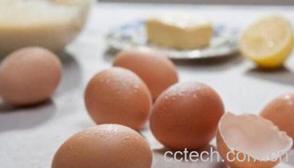 鸡蛋壳粉的功效与作用及药用价值-0