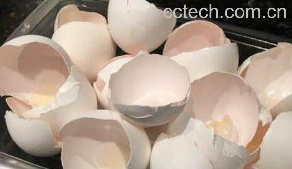 鸡蛋壳粉的功效与作用及药用价值-1