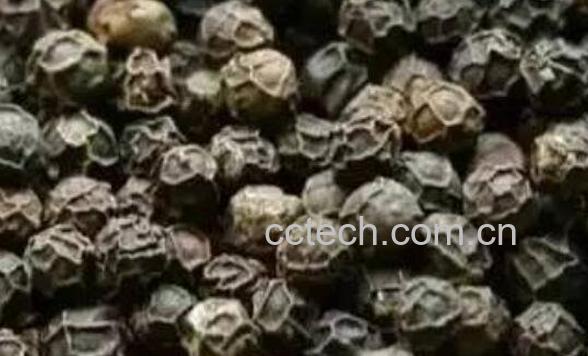 黑胡椒精油的功效与作用-1